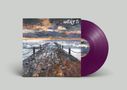 Nature TV: Unlucky For Some (Transparent Purple Vinyl Gatef.), LP
