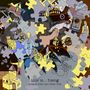 Tunng: This Is Tunng... Magpie Bites And Other Cuts (Limited-Edition), CD,CD