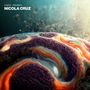 Nicola Cruz: Fabric Presents, 2 LPs