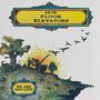 "13th Floor Elevators" und "We Are Not Live". Illustration: Baum und Vögel auf einer Klippe mit explosivem Hintergrund., LP