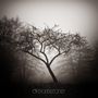 Sorrow: Dreamstone, CD, CD
