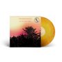 Passenger: All The Little Lights (Anniversary Edition) (Sunrise Vinyl), LP