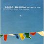 Luka Bloom: Between The Mountain And The Moon, CD