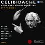 : Celibidache-Edition Vol.1 - Sinfonien, CD,CD,CD,CD,CD,CD,CD,CD,CD,CD,CD,CD,CD,CD
