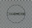 Carter Tutti Void: Transverse (LP + CD), LP,CD