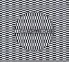 Carter Tutti Void: Transverse, CD