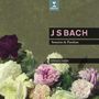 Johann Sebastian Bach: Sonaten & Partiten für Violine BWV 1001-1006, CD,CD