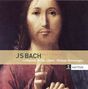 Johann Sebastian Bach: Messe h-moll BWV 232, CD,CD