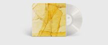 Wadada Leo Smith & Amina Claudine Myers: Central Park's Mosaics Of Reservoir, Lake, Paths And Gardens (180g) (Transparent Vinyl) (45 RPM), LP