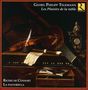 Georg Philipp Telemann: Blockflötenkonzerte in a,a,e,F,F, CD,CD,CD,CD,CD,CD,CD