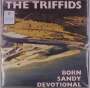 The Triffids: Born Sandy Devotional (remastered) (Limited Edition) (Yellow Vinyl), LP