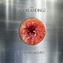 The Moonlandingz: No Rocket Requiered, CD