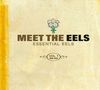 "MEET THE EELS: ESSENTIAL EELS VOL. 1 1996-2006." Oben sind stilisierte Blumen abgebildet., 2 LPs