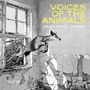 Jean-Paul Dessy: Voices of The Animals, CD
