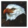 Mogwai: The Hawk Is Howling, 2 LPs