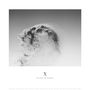 : X-Ten Years Of Artefacts, LP,LP,LP
