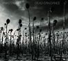 Dead Can Dance: Anastasis (180g), 2 LPs