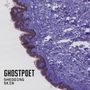 Ghostpoet: Shedding Skin, 1 LP und 1 CD