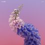 Flume: Skin (180g) (Limited Edition) (Clear Vinyl), 2 LPs