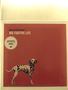 Ezra Furman: Big Fugitive Live EP, Single 10"