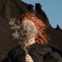 Goldfrapp: Silver Eye, LP