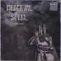 Medieval Steel: Dark Castle (remastered) (Limited Numbered Edition), LP
