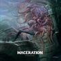 Maceration: It Never Ends, CD