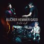 Michael Blicher, Dan Hemmer & Steve Gadd: It Will Be Alright, LP