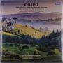 GRIEG Peer Gynt Suites/Symphonic Dances. Landschaft mit bewaldeten Hügeln im Nebel., LP