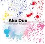 Aka Duo: In Polish Music, CD