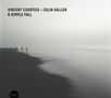"VINCENT COURTOIS – COLIN VALLON A SIMPLE FALL" steht oben. Unscharfes Uferbild mit Nebel, einfühlsame Atmosphäre., CD