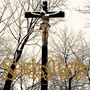 Goldene Schrift: "SPIRITUS MORTIS", darunter klein "Fallen". Ein Kruzifix vor winterlichen, kahlen Bäumen.