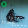 Cakewalk: Transfixed, CD