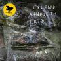 Erlend Apneseth (geb. 1990): ARA, CD