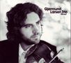 Gjermund Larsen: Aurum, CD