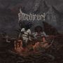 Nordjevel: Gnavhòl (Black Vinyl), 2 LPs