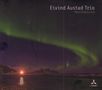 Eivind Austad: Northbound (180g), LP