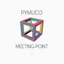 Pymlico: Meeting Point, 1 LP und 1 CD