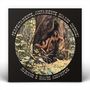 Rubinho & Mauro Assumpcao: Perfeitamente, Justamente Quando Cheguei, LP, LP