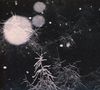 Over The Voids...: Over The Voids, CD