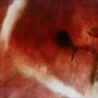 Angles & Elle-Kari With Strings: The Death Of Kalypso, 2 LPs, 2 LPs
