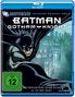 Batman - Gotham Knight (Blu-ray), Blu-ray Disc