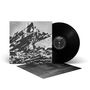 Fagus: Inter, LP