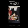 „7EBRA“ oben, „HOW TO LAND A PLANE“ unten. Baby schläft auf einem Flugzeugsitz neben einem Erwachsenen.