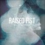 Raised Fist: Veil Of Ignorance, CD, CD
