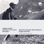 Joseph Lauber (1864-1952): Symphonien Nr.3 h-moll & Nr.6 D-Dur, CD