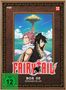 Fairy Tail Box 5, 4 DVDs, 4 DVDs