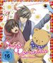 Junjo Romantica Vol. 2, DVD