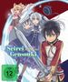 "Seirei Gensouki: Spirit Chronicles" und "FSK ab 12 freigegeben" sind zu sehen. Drei Anime-Figuren in dynamischer Pose., 2 Blu-ray Discs