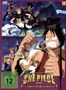 One Piece - Schloß Karakuris Metall-Soldaten, DVD, DVD